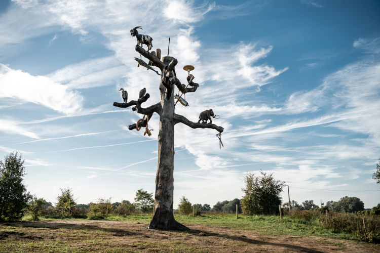 Kunst aan de Maas. Mark Dion, Tree of Life, 2022.
Foto  © Boumediene Belbachir