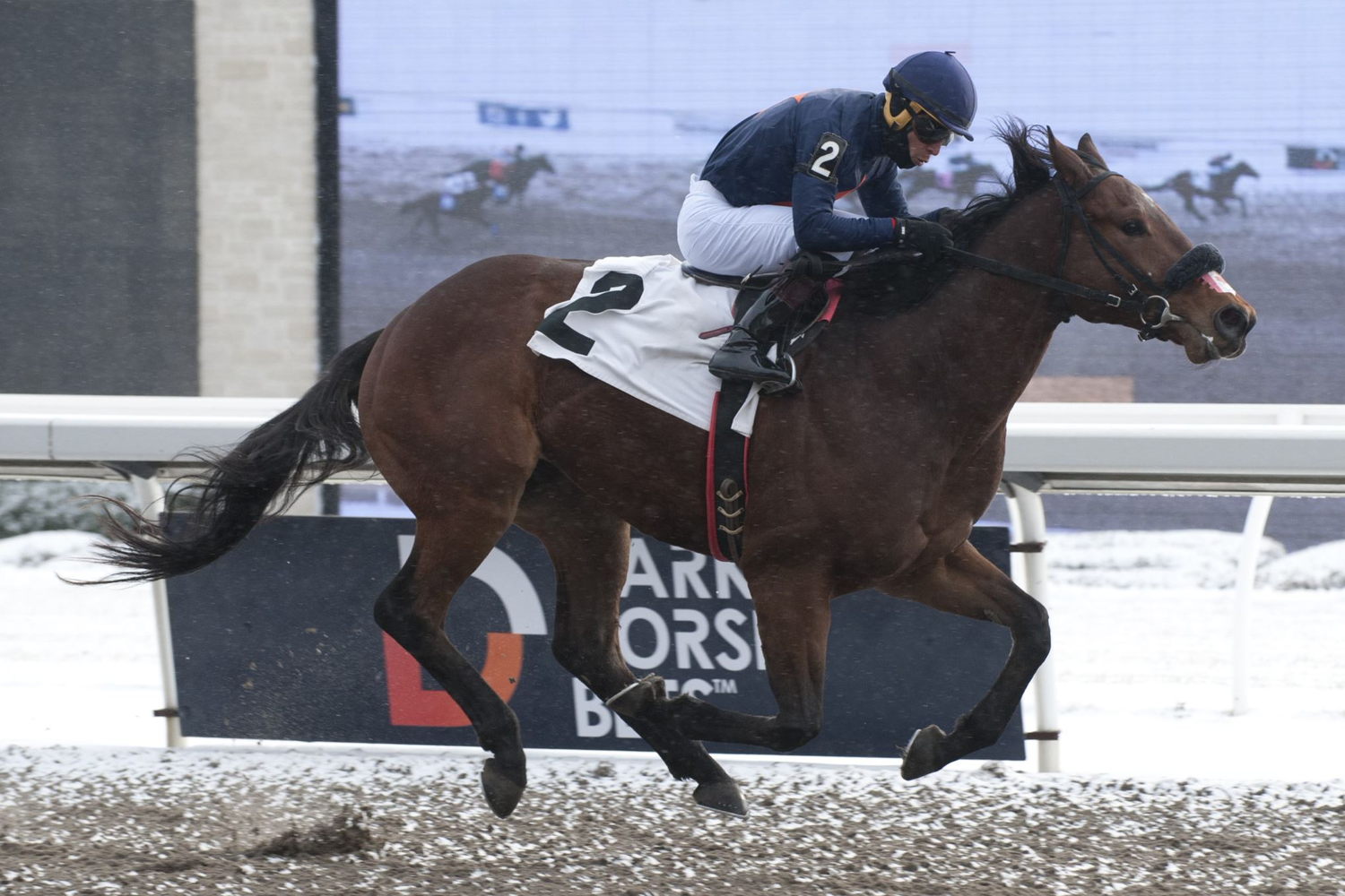 Campos winning with Bold Reload on December 11, 2022 (Michael Burns Photo)
