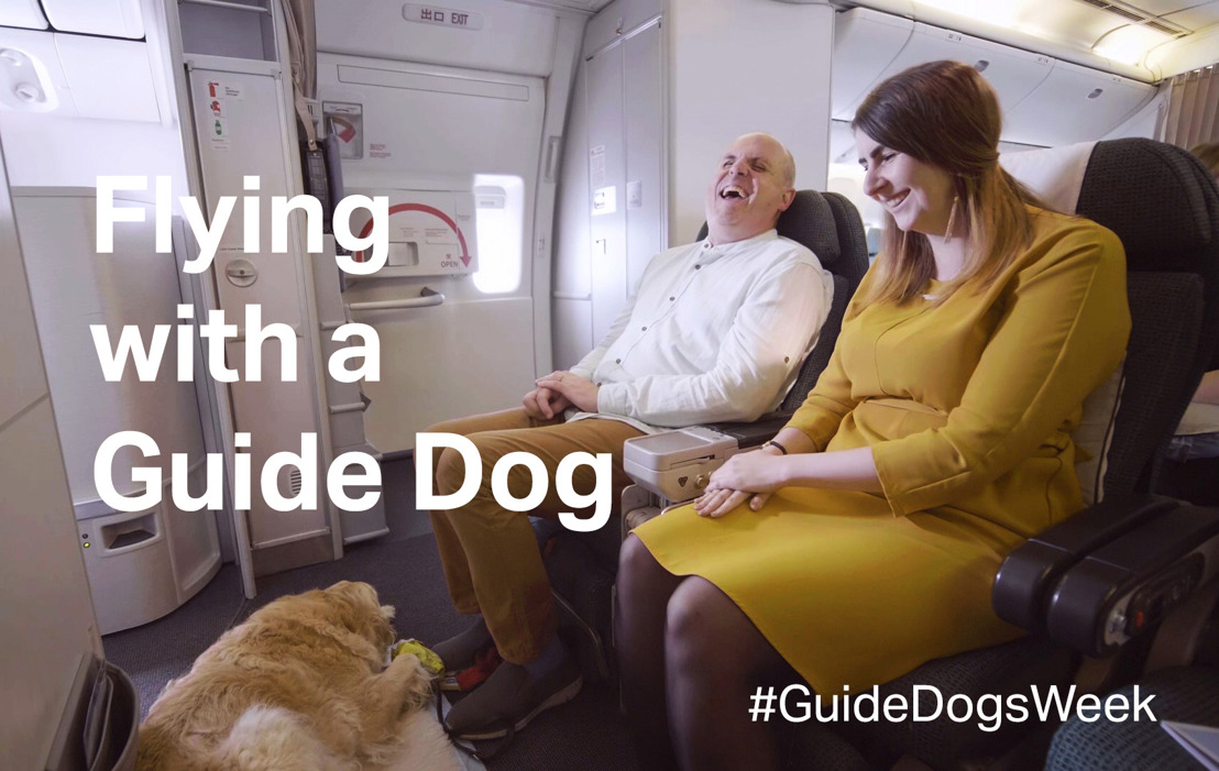 What happens when a dog boards a plane?