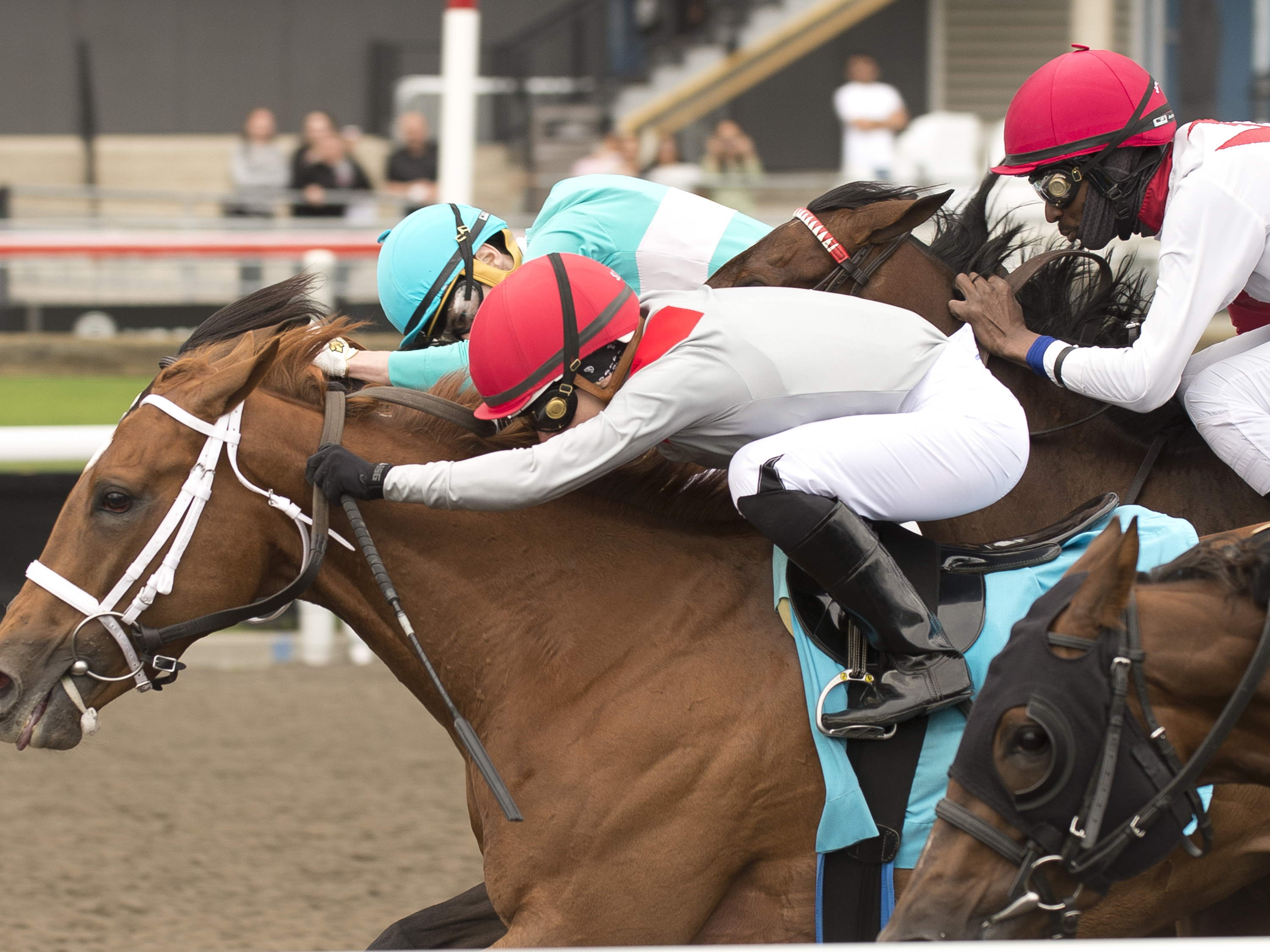 A brave Brindi (IRE) digs deep for Ruling Angel win