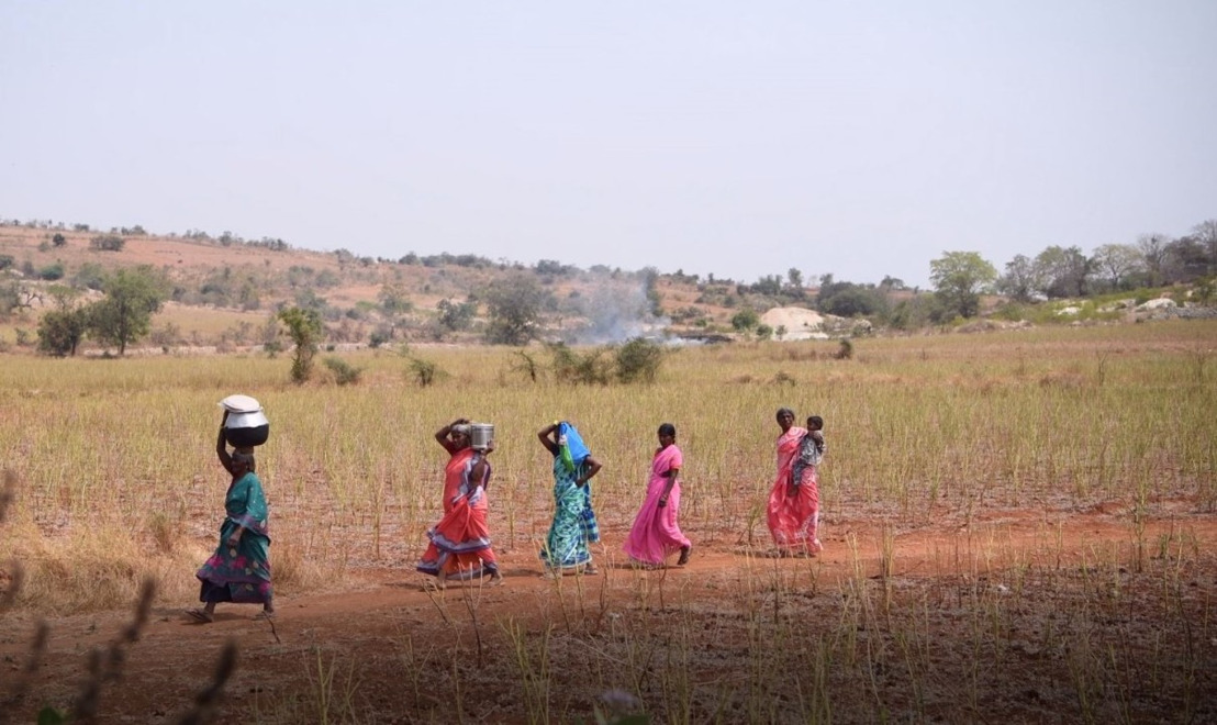 Agri-food systems and their contribution to climate change action