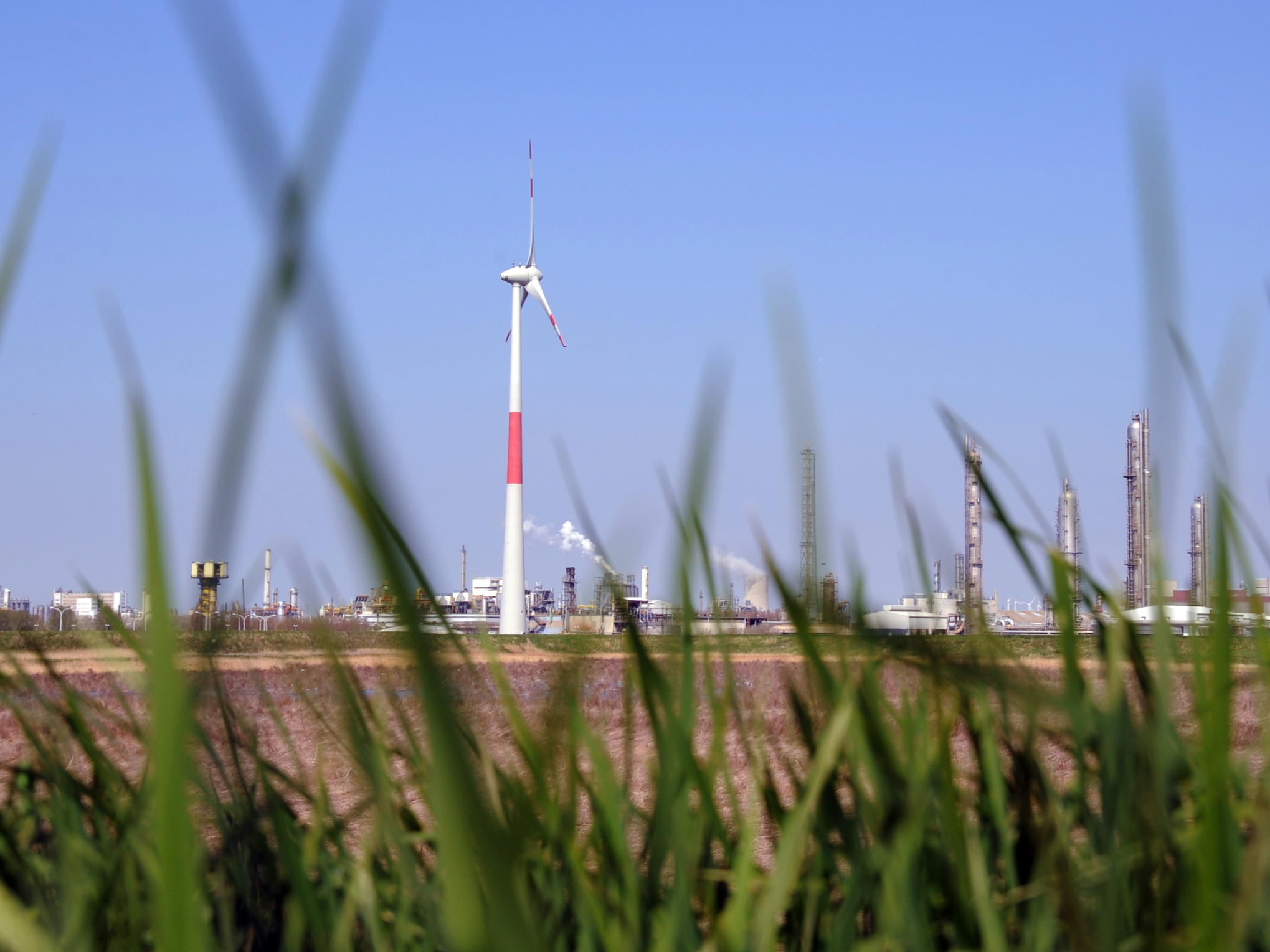 Seas to Skies Conference: A Successful Summit for a Greener Future