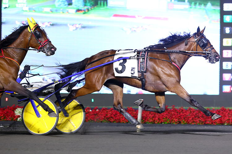 Lasting Dream winning the Pure Ivory Final. (New Image Media)