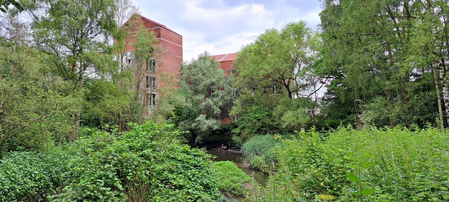 Achter de Bloemmolens ligt de beekvallei met nog heel wat potentie voor natuur en zachte recreatie