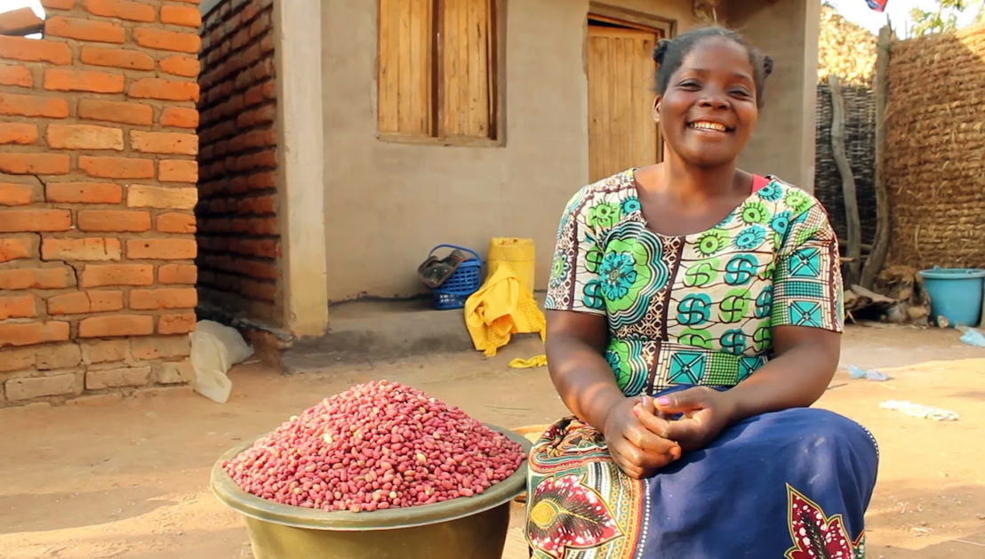 Safeguarding Groundnuts from Contamination