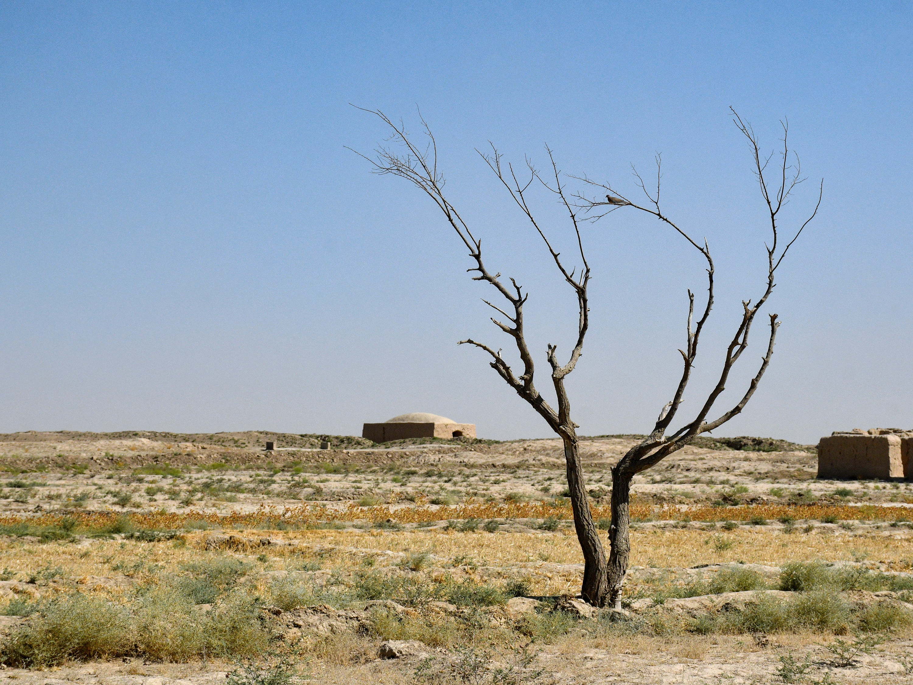 Seven Belgian scientists to contribute to next IPCC climate report