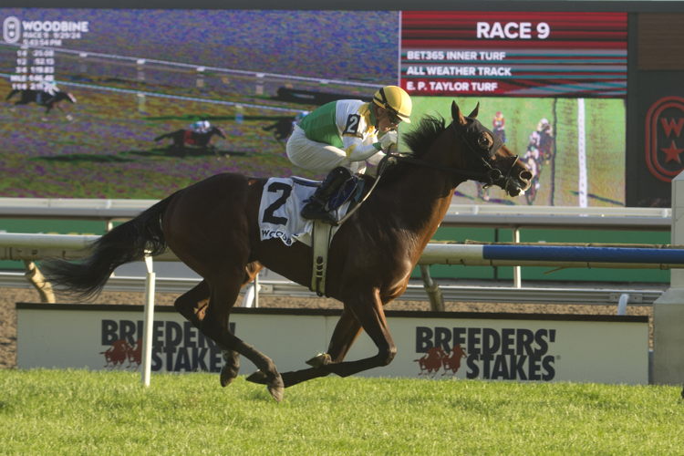 Roscar winning the Breeders' Stakes on September 29, 2024 at Woodbine (Michael Burns Photo)