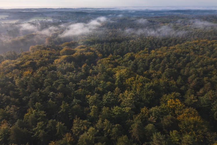Heverleebos luchtbeeld - © Maxime Bervoets
