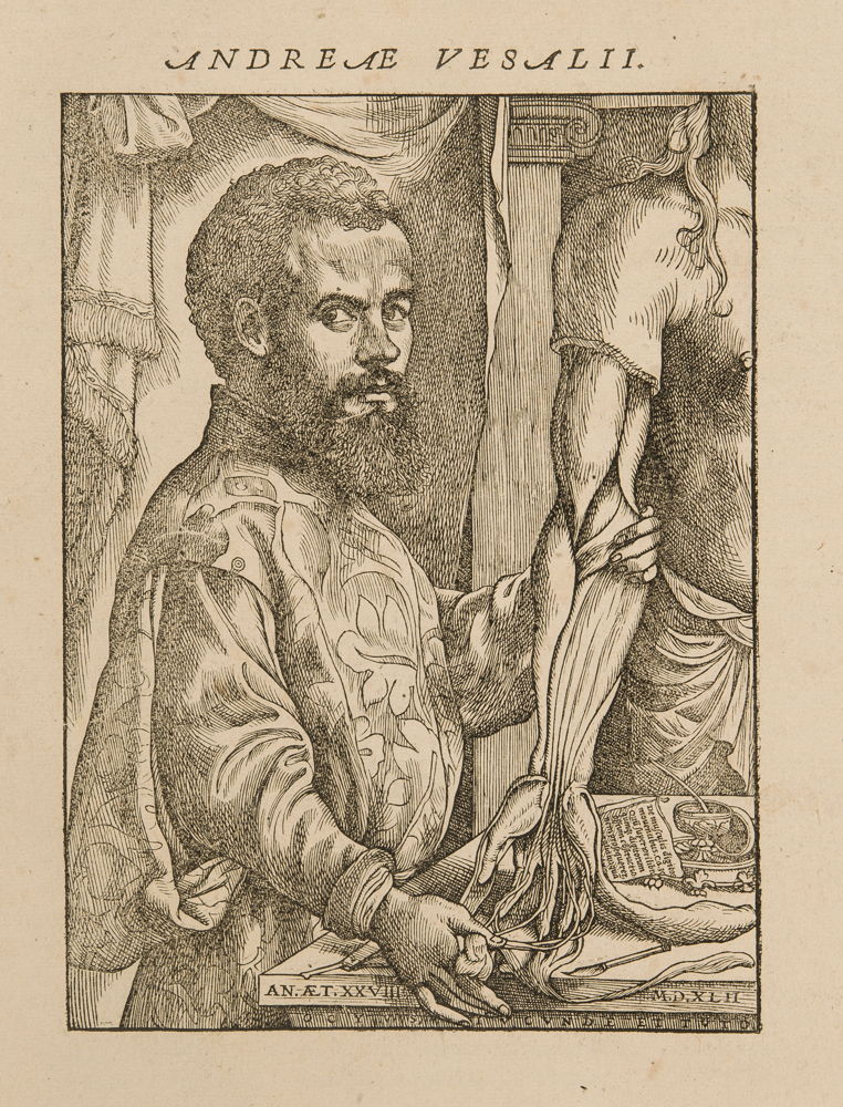 Andreas Vesalius, De Humani Corporis Fabrica Libri Septem, Basel, 1543 ©  KU Leuven, Universiteitsbibliotheek, CaaC17 - Bruno Vandermeulen