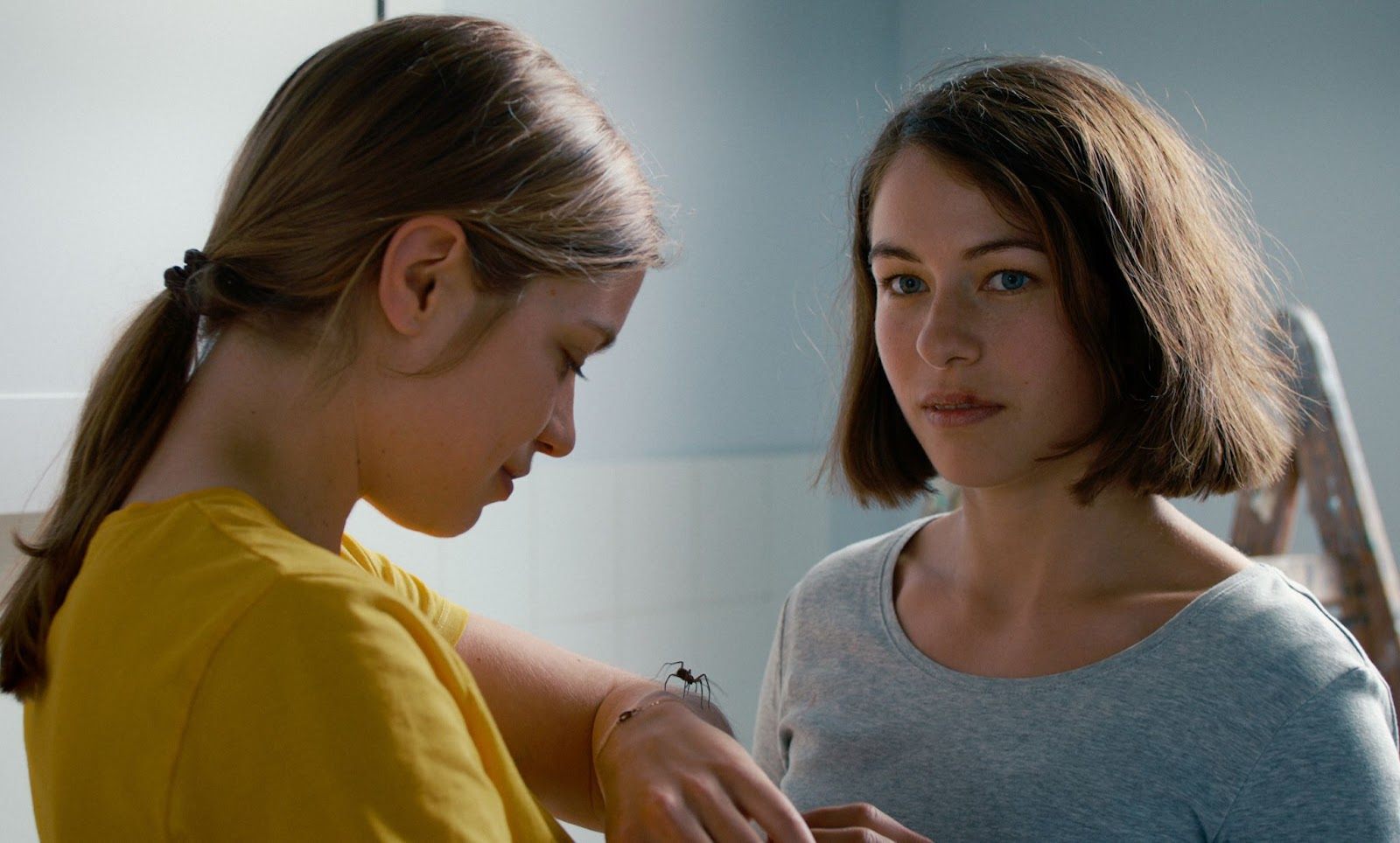 THE GIRL AND THE SPIDER THE GIRL AND THE SPIDER