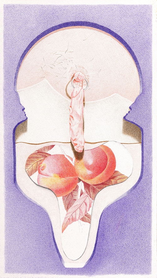 Ellande Jaureguiberry, Les Fruits de la Terre #2 (Vruchten van de Aarde #2), 2021,  Gekleurde potlood op papier, 17 x 30 cm, Collectie Ellande Jaureguiberry,© Foto Romain Darnaud