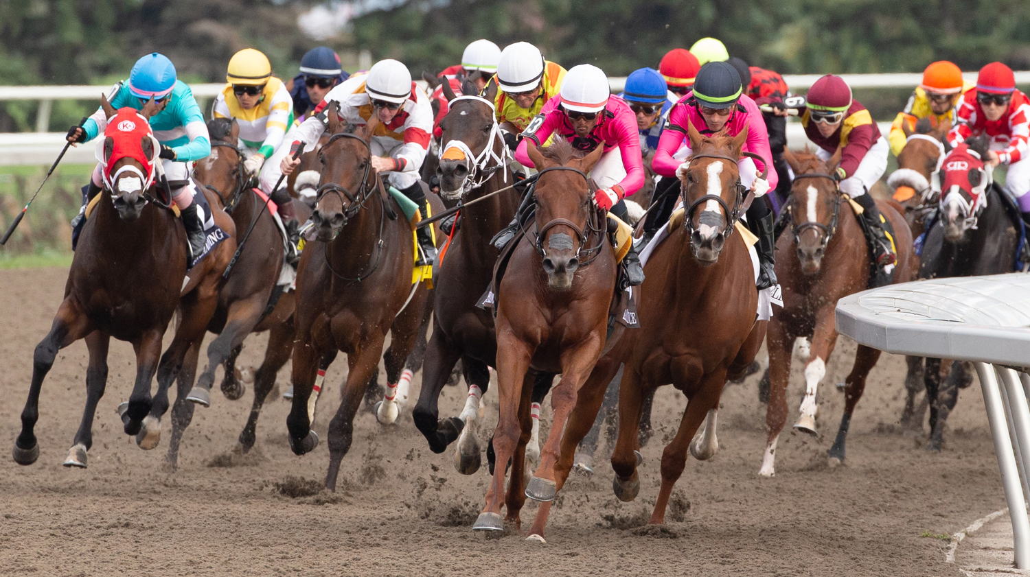 Woodbine Racetrack