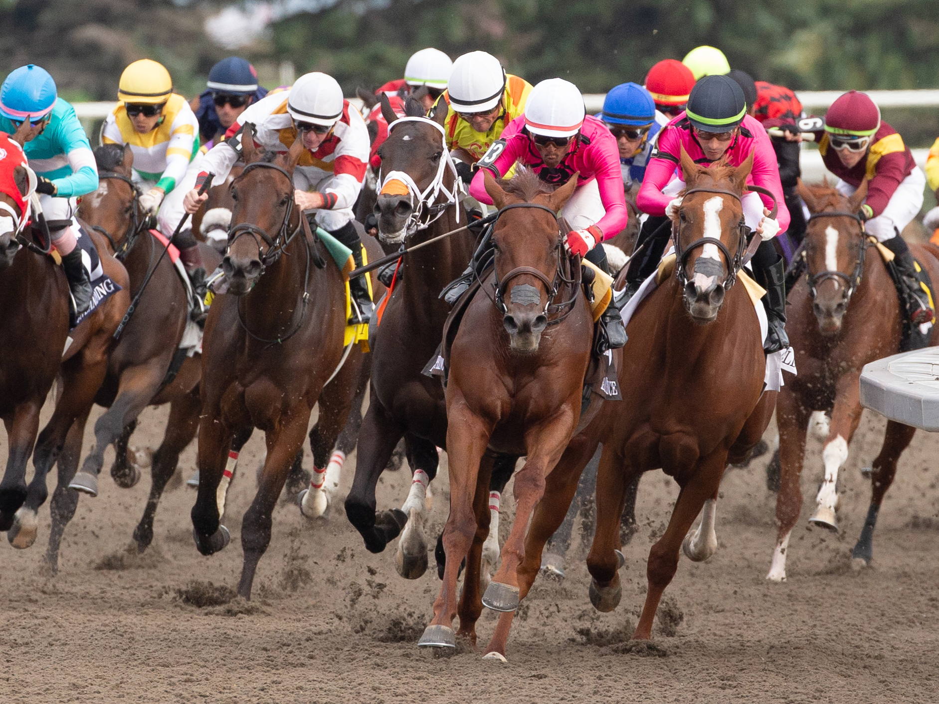 Woodbine Entertainment releases 2022-2023 Corporate Responsibility Report as new CEO takes the reins