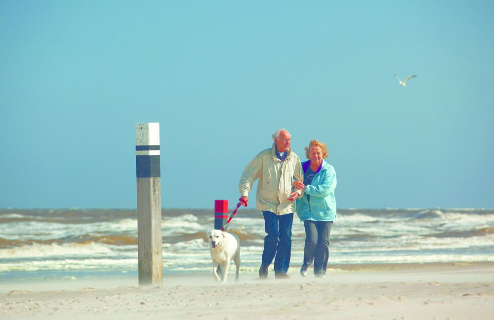 Senioren mit Hund am Strand