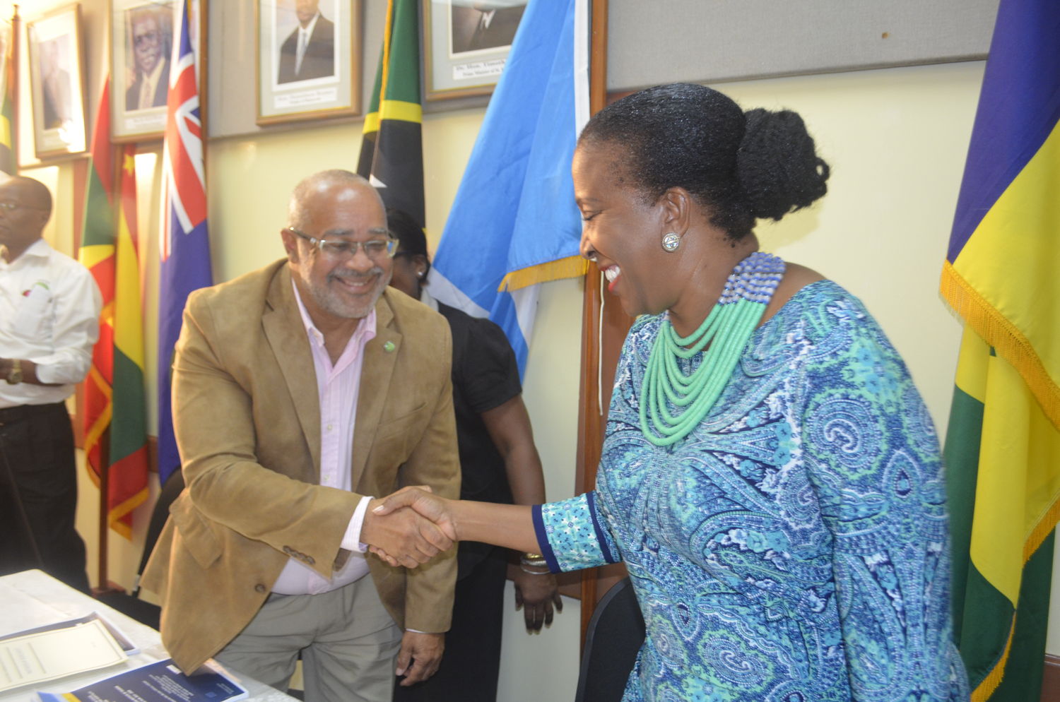 Ms. Shirlene Nibbs and Dr. Didacus Jules shaking hands.