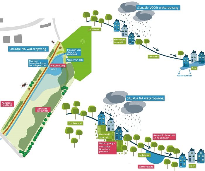 Een derde actie die in de IJsevallei met de steun van Blue Deal gebeurt, is de aanleg van een bufferbekken op de Nellebeek. Het centrum van Eizer blijft zo gespaard van wateroverlast bij hevige regenval.
