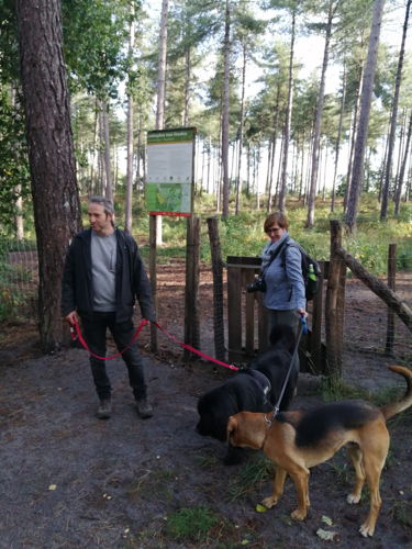 Hilde Geskens en Juul Adriaens laden hun batterijen op door de honden uit laten. Tijdens de sportmaand trokken ze er samen met enkele andere communicatiecollega’s op uit in Gerhagen (de Merode), waar zich een hondenlosloopzone bevindt.