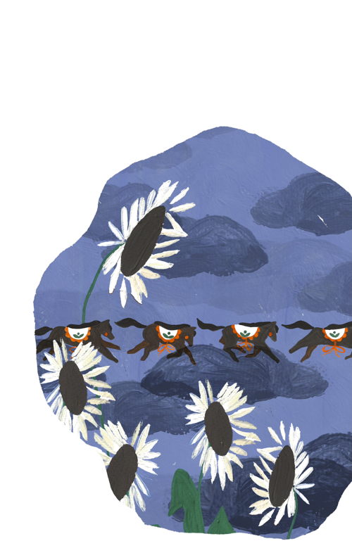 Illustrations by Juliette Farges