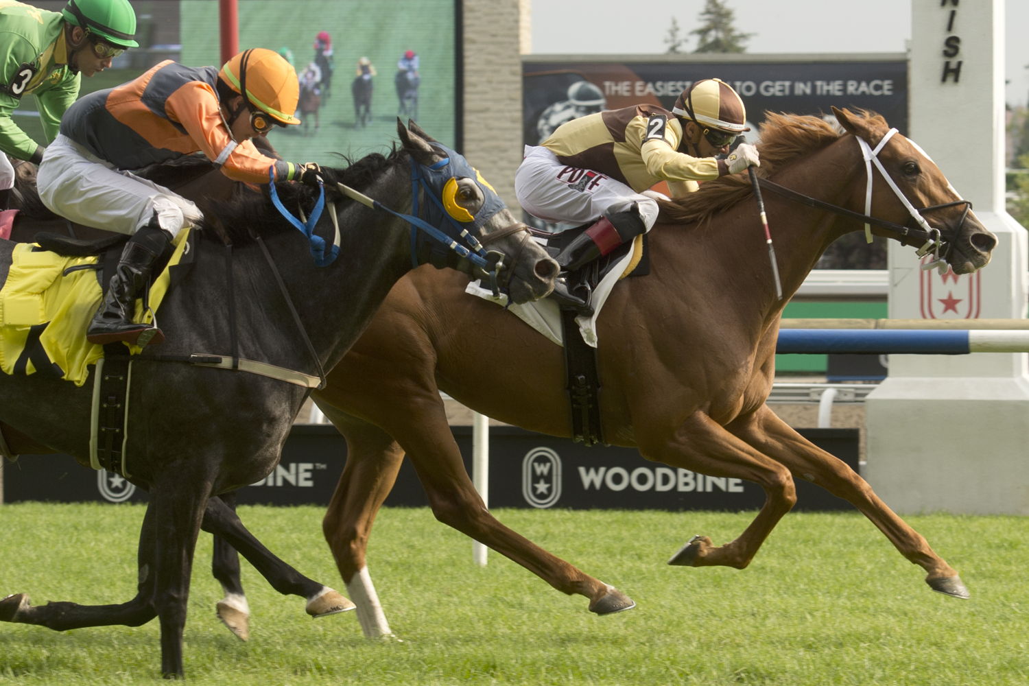 Roaring Forties and jockey Rafael Hernandez winning Race 8 on September 3, 2023 at Woodbine (Michael Burns Photo)
