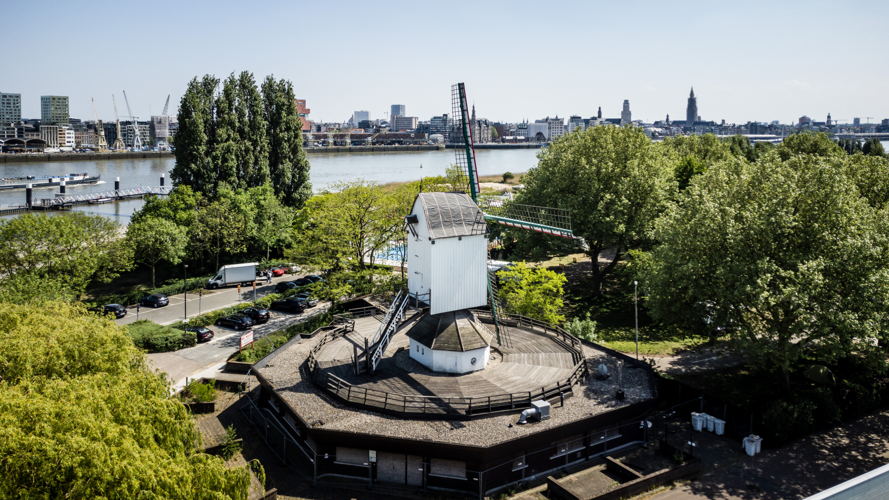 Molen 't Veertje ©LUCID