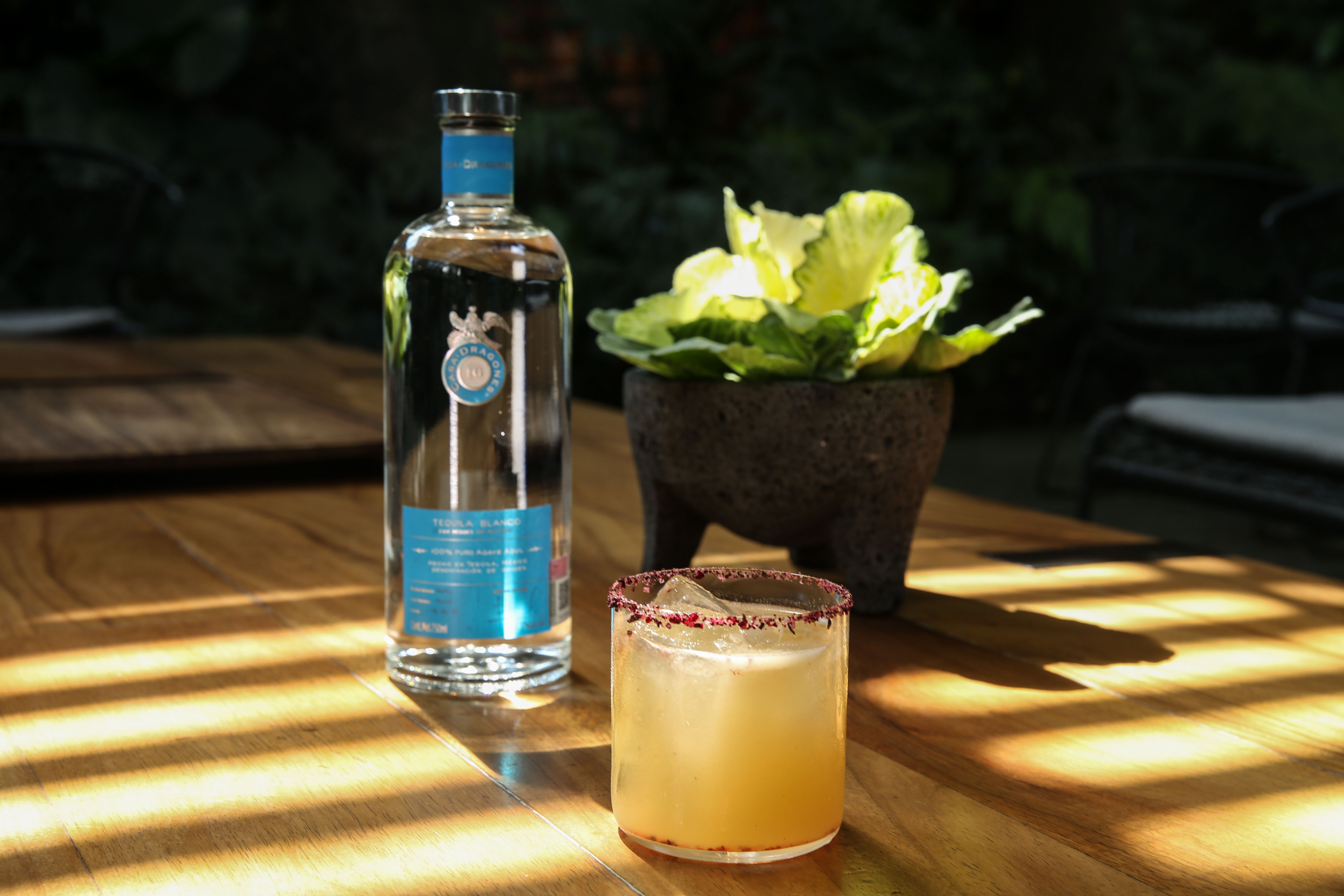 Margarita Jengibre by Pujol Margarita Jengibre by Pujol