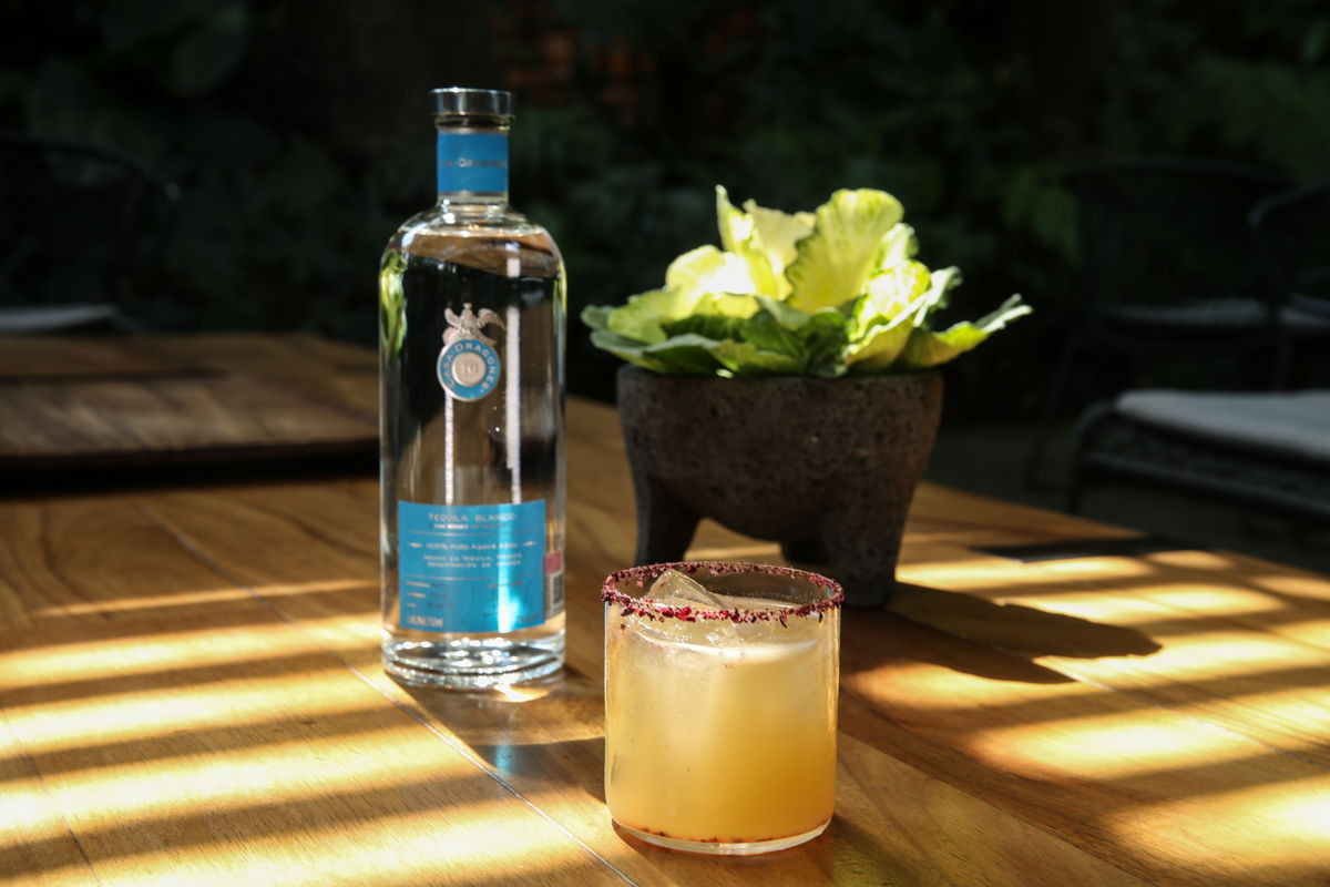 Celebra el Día Mundial del Coctel con 3 sencillas recetas hechas con Tequila  Casa Dragones Blanco