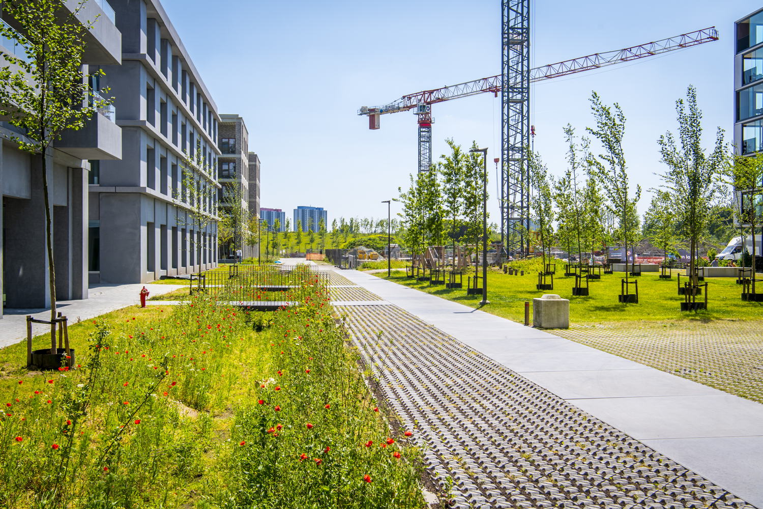©frederikbeyens_Nieuw_Zuid