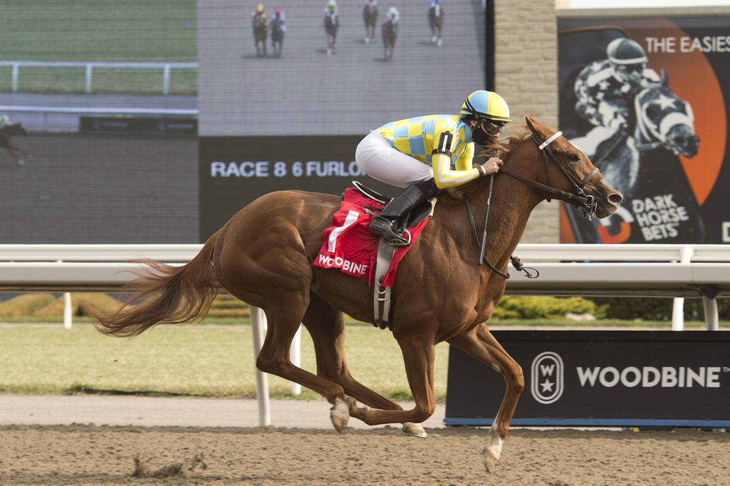 Beautiful Empire winning the 2022 Star Shoot Stakes at Woodbine. (Michael Burns Photo)