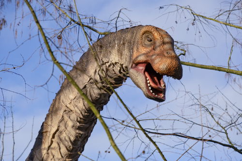 Wintonotitan