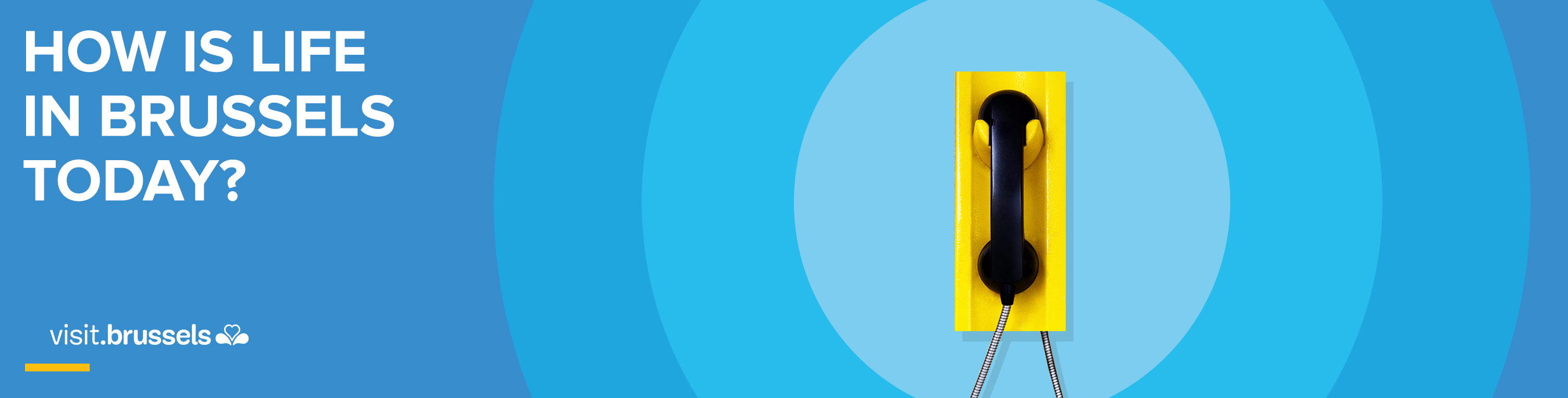 Brussels 12 points! Video shows success of #CallBrussels campaign