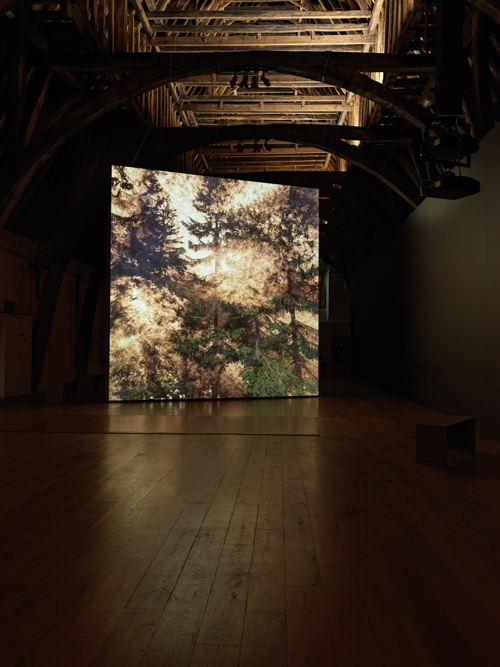 Memling Now 1 - © Musea Brugge - Inge Kinnet