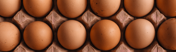 Húsvétkor is lesz friss magyar tojás a boltok polcain