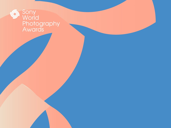 COMPETICIÓN PROFESIONAL: FINALISTAS Y PRESELECCIONADOS