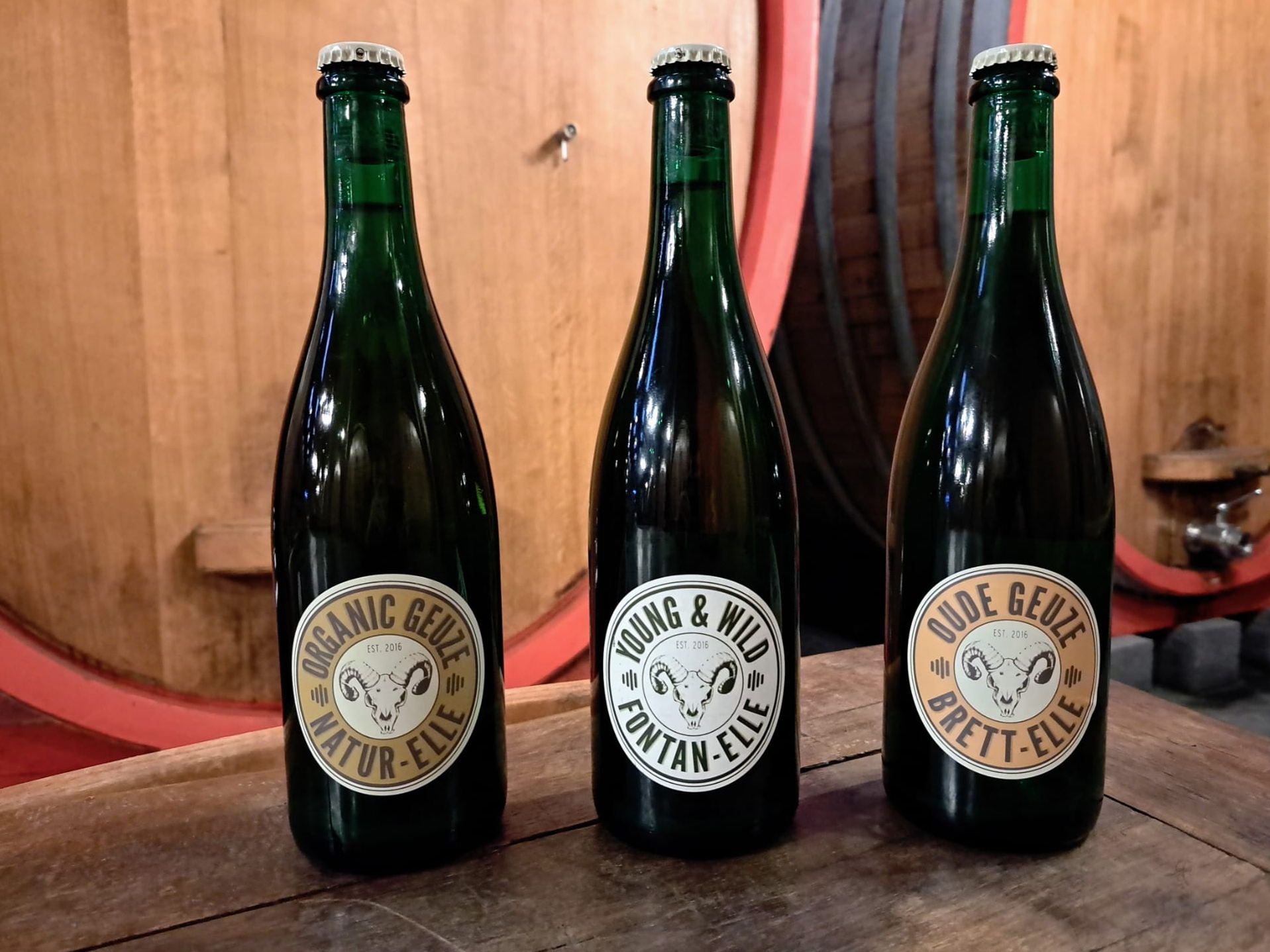 Lambiek Fabriek Scores Phenomenal Hat-trick at Brussels Beer Challenge 2023