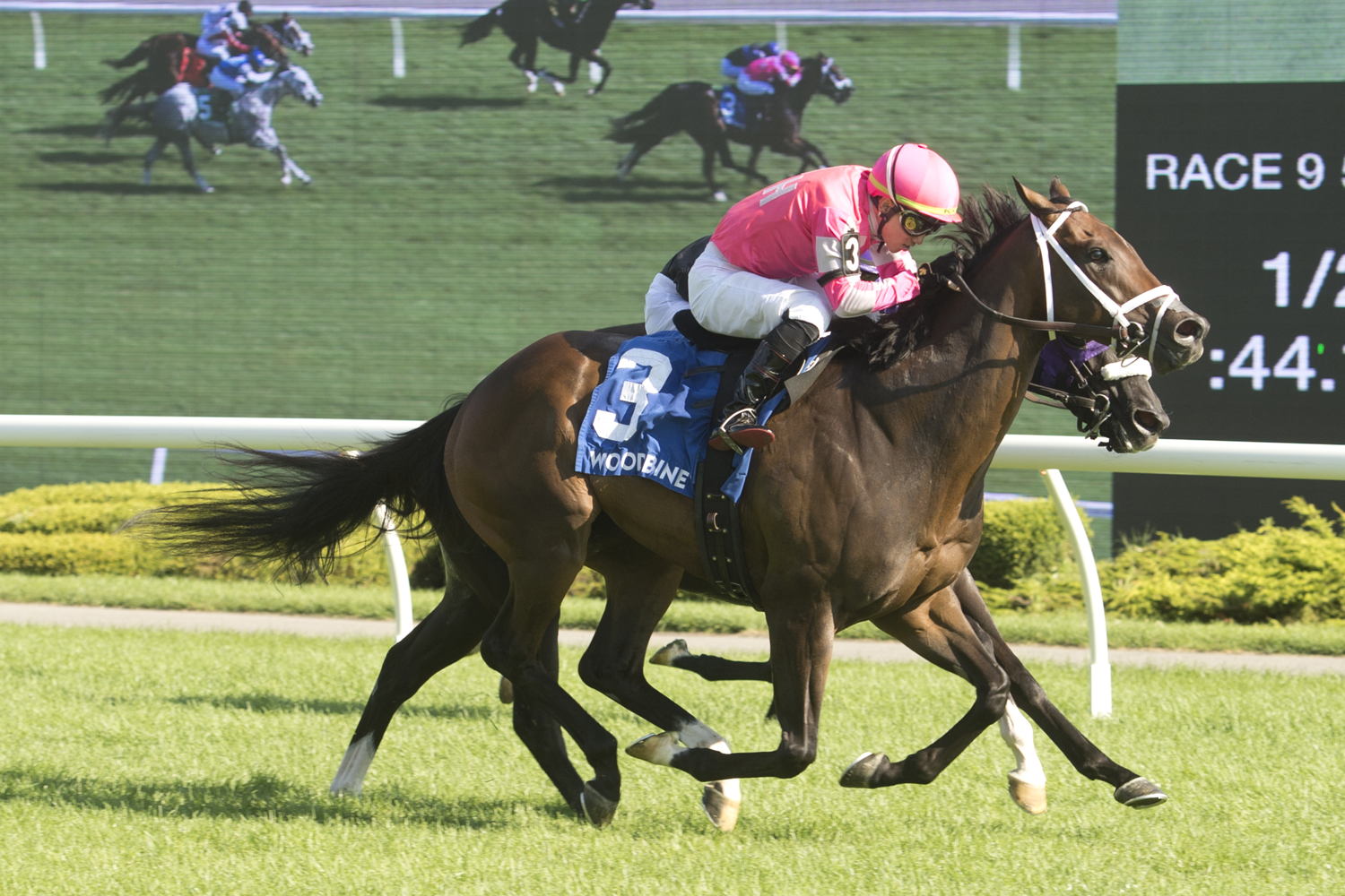 Outlaw Kid and jockey Kazushi Kimura winning the Vice Regent on August 5, 2023 at Woodbine (Michael Burns Photo)