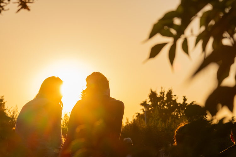 Sfeerbeelden van de Zomerboerderij 2023.