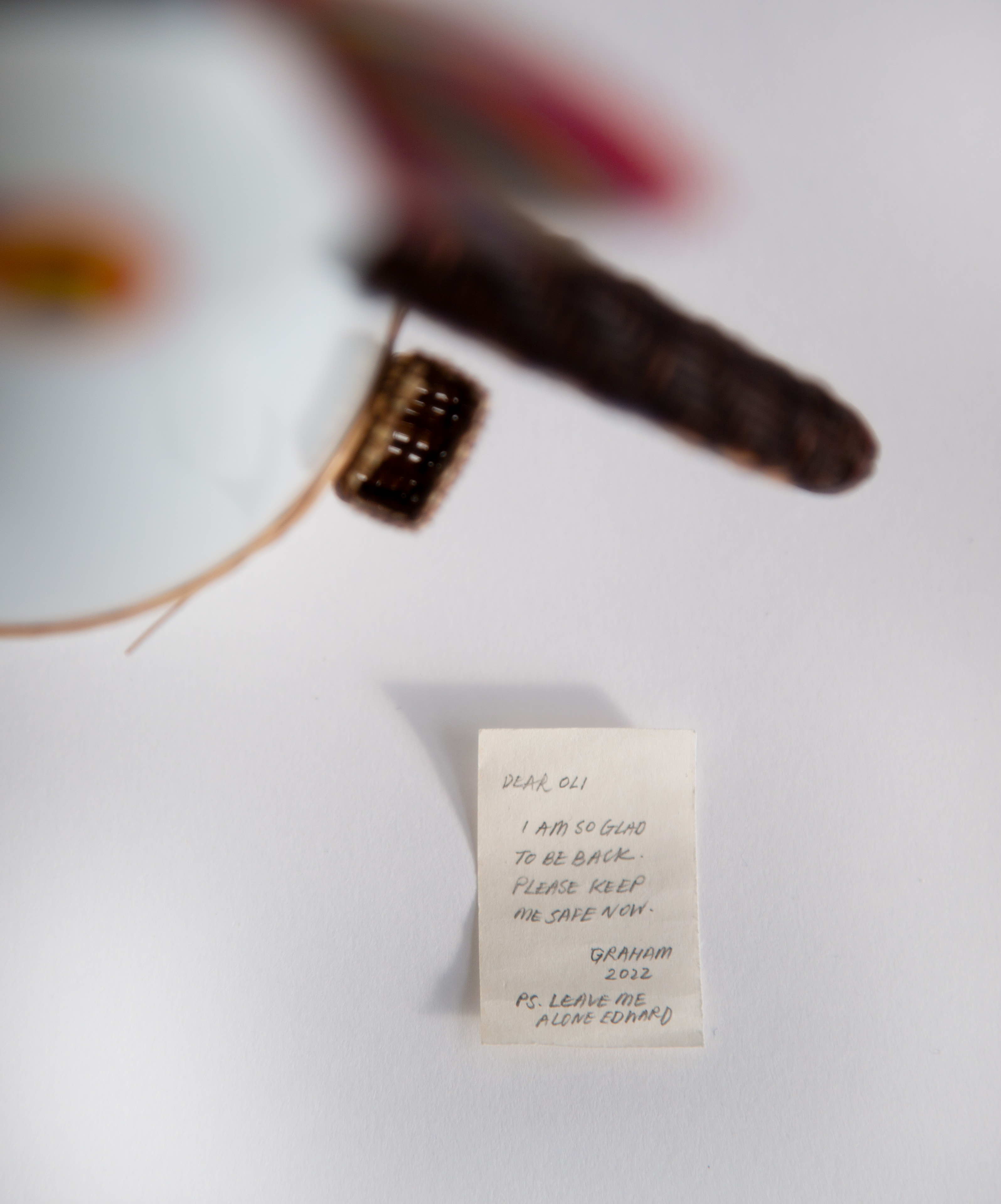 Puffin (Graham Secrets) – repaired image, part of R for Repair 2022. Imagery by Zuketa Film Production Puffin (Graham Secrets) – repaired image, part of R for Repair 2022. Imagery by Zuketa Film Production