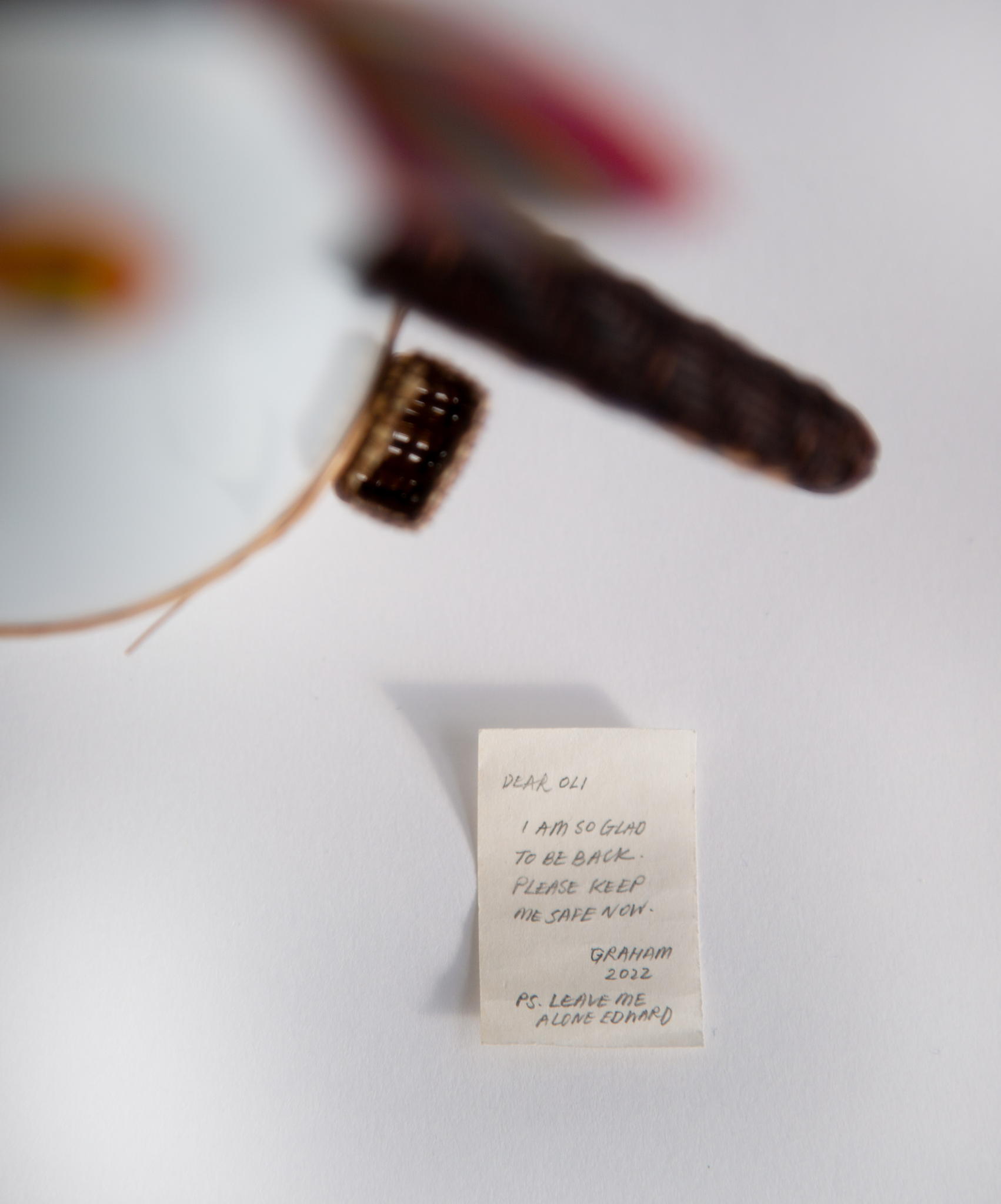 Puffin (Graham Secrets) – repaired image, part of R for Repair 2022. Imagery by Zuketa Film Production Puffin (Graham Secrets) – repaired image, part of R for Repair 2022. Imagery by Zuketa Film Production