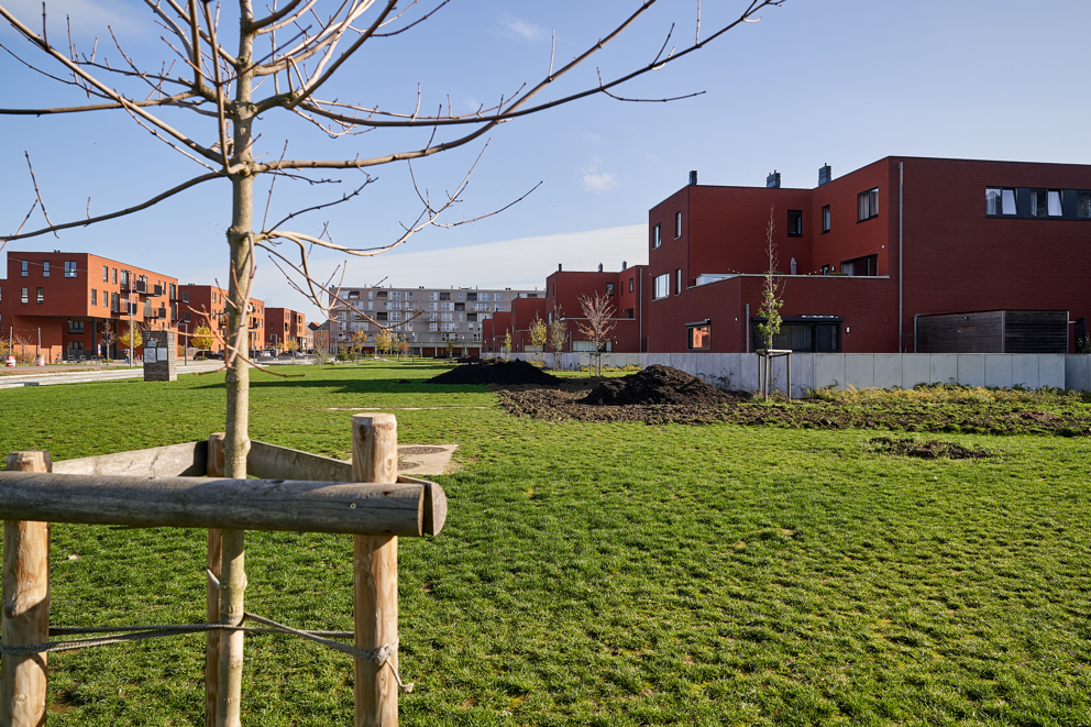 Stad Leuven plant derde buurtbos aan Centrale Werkplaatsen