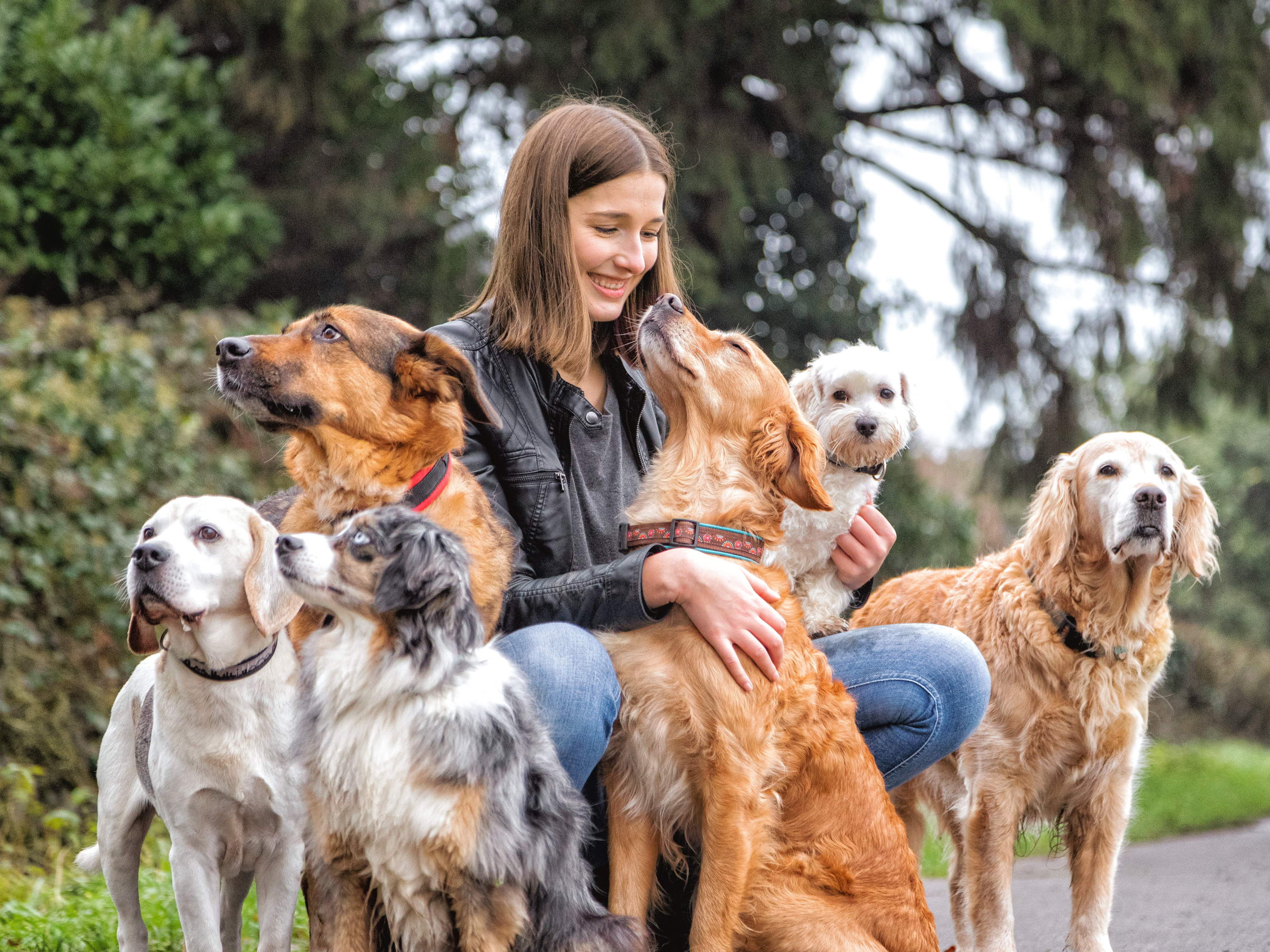 Eine für alle: Die Hunde-Haftpflicht der Uelzener Versicherungen jetzt noch besser und individueller