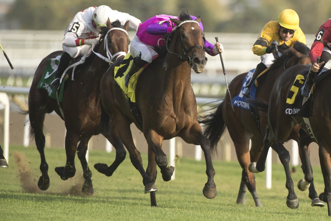 Banff winning the Lake Superior Stakes. (Michael Burns photo)
