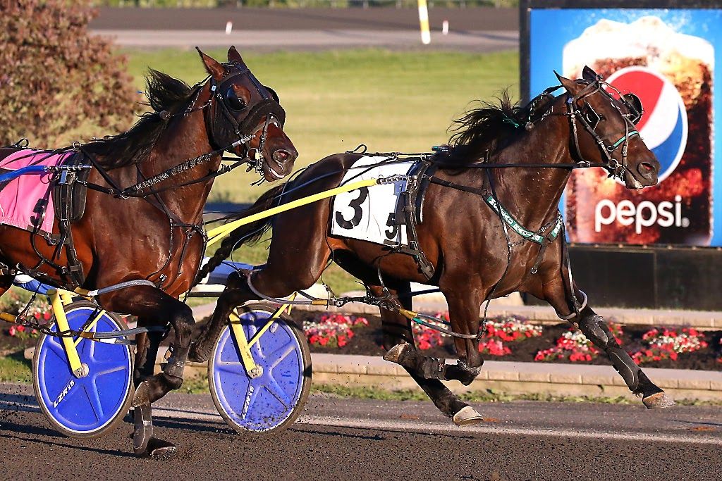 Jimmy Freight winning the Mohawk Gold Cup at Woodbine Mohawk Park (New Image Media)