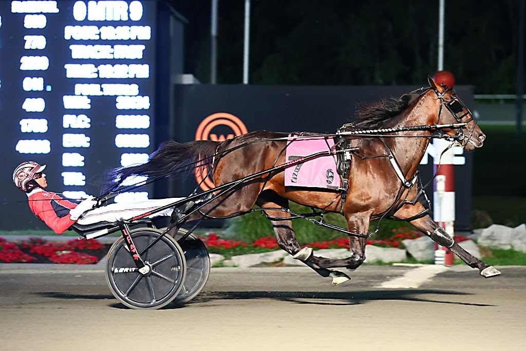 Bulldog Hanover. (New Image Media)