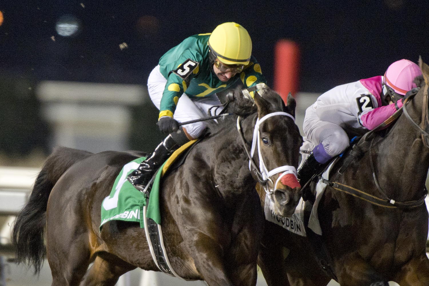 Fashionably Fab and jockey David Moran winning the La Prevoyante Stakes on December 14, 2024 at Woodbine (Michael Burns Photo)
