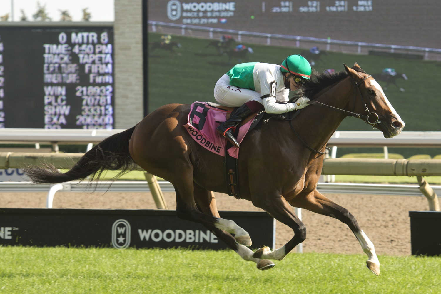 Corelli and jockey Kazushi Kimura winning the 2021 Singspiel Stakes at Woodbine (Michael Burns Photo)