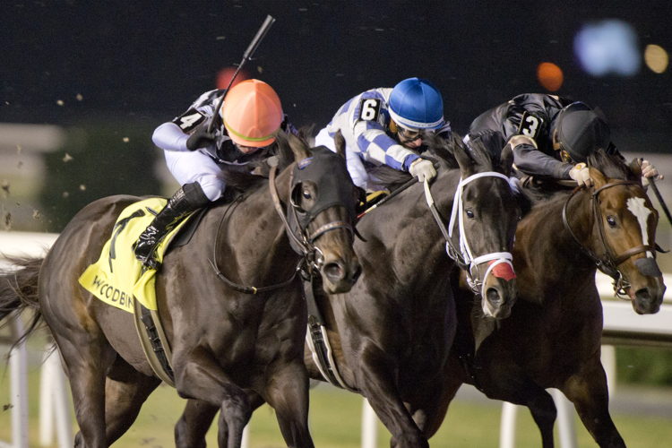 Notorious Gangster and jockey Fraser Aebly winning the Coronation Futurity on November 30, 2024 at Woodbine (Michael Burns Photo)