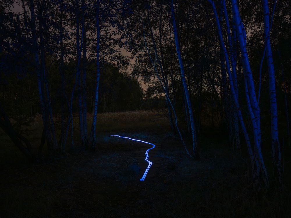 10LichtsporenRoosegaarde