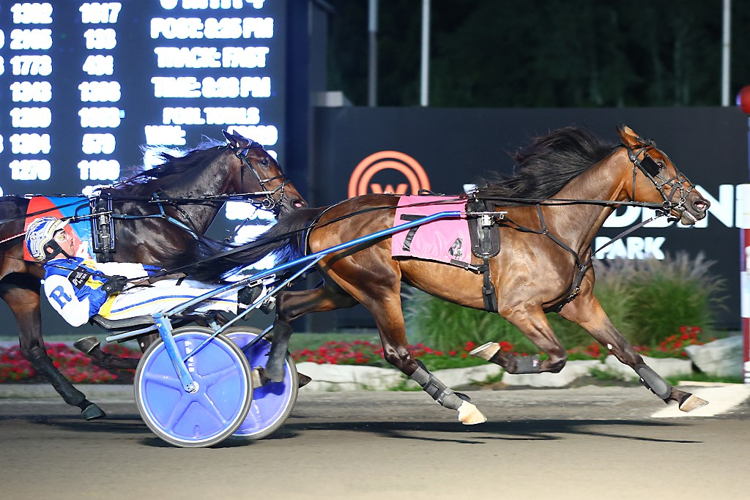 Gaines Hanover. (New Image Media)
