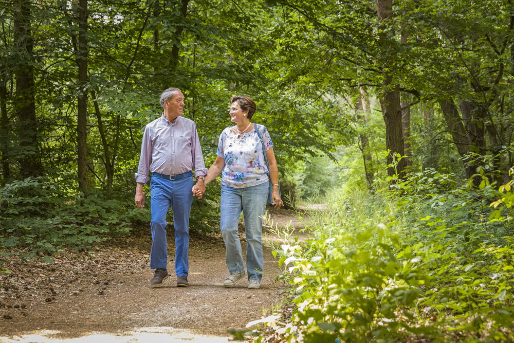 Wandelen bij Landal De Lommerbergen