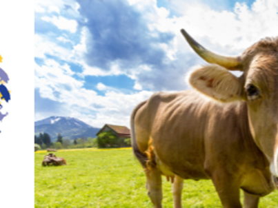 70 % of European citizens want an EU Commissioner for Animal Welfare. Over 80 MEPs have already joined this call.